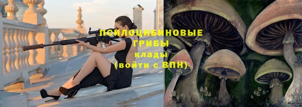 СК Абдулино