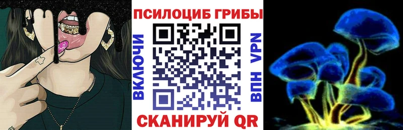 Псилоцибиновые грибы Cubensis Шебекино
